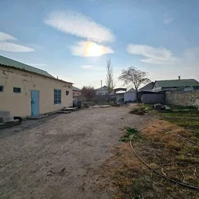 Bagyr Mirewe Bekrewe Gokje