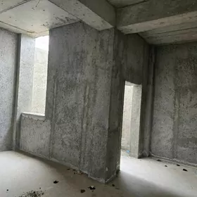 Anew Kotej koropka eyesinden