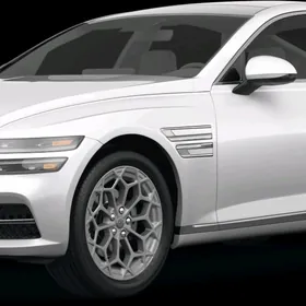 partronik genesis g80 sonky