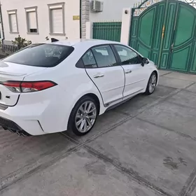 Toyota Corolla 2020