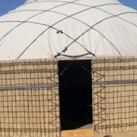 Akoy ak gara oy gotaz gamys