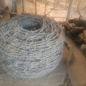 Читенек сим тазе дуран