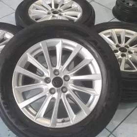 haylandr xle arginal