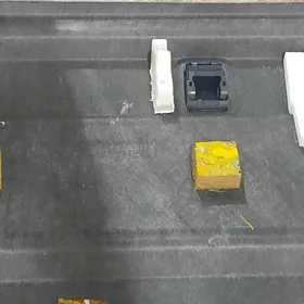 Aziýada kemri polka morda