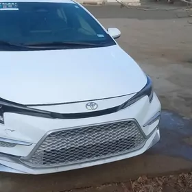 Toyota Corolla 2024