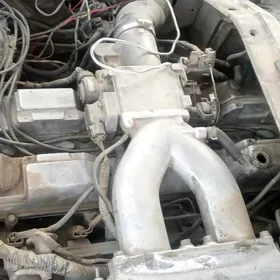 2.5 mark mator karopka