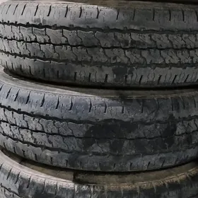 195R15C Haise ýyly24