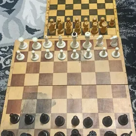 Шахматы СССР