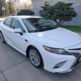 Toyota Camry 2020