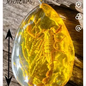 Янтарь хакыкы