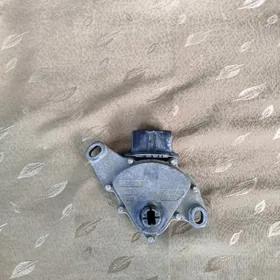 Ökuz kelle skor ryçak kaseta