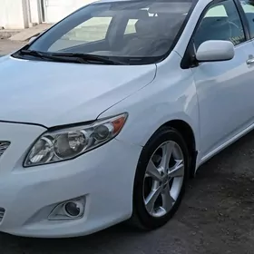 Toyota Corolla 2007