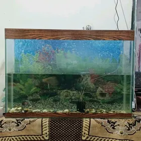 Продается аквариум