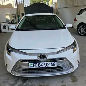 Toyota Corolla 2024
