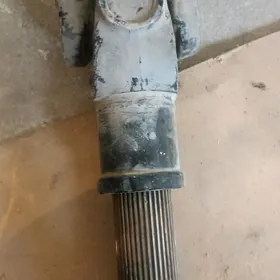 Kardan Awtobus orginal