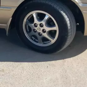 15 lik diska  pakrysga