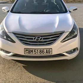 Hyundai Sonata 2010
