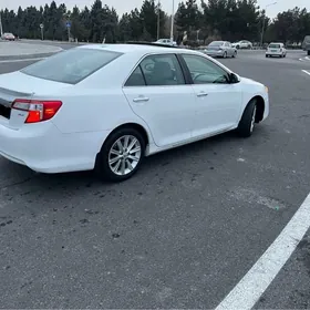 Toyota Camry 2014