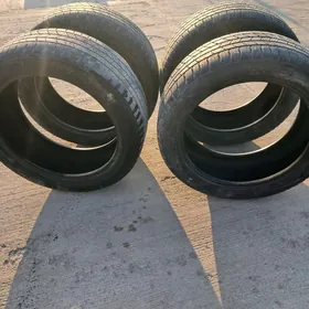 PAKRISKA 18 YAGDAYY GOWI