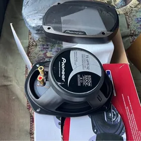 Pioneer Kalonka Nikil