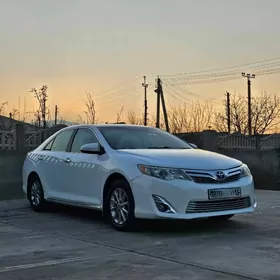 Toyota Camry 2013