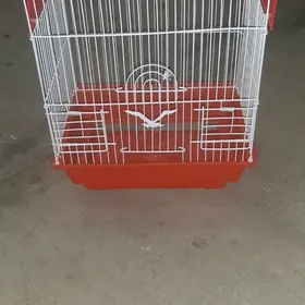 kletka попугаи