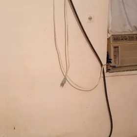 bagyrda kwartira jay