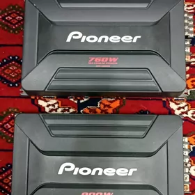 Pioneer usulitel