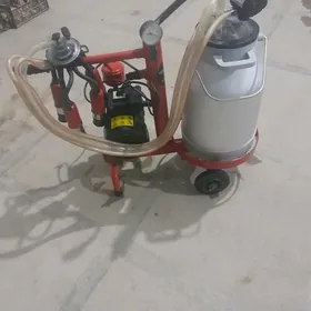 Sygyr Sagylyan aparat