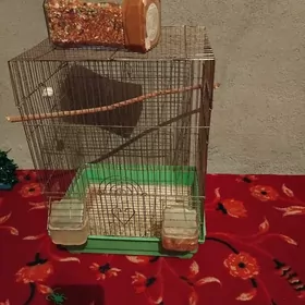 popgay gusun kletgsy