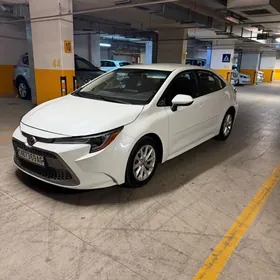 Toyota Corolla 2020