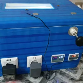 inkubator инкубатор