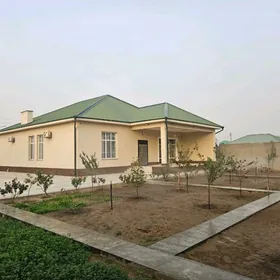 Anew Magtymguly plan jay