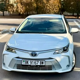 Toyota Corolla 2021
