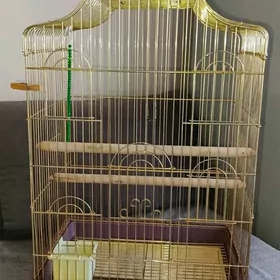большая клетка для попугаев