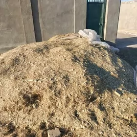 ot uwelen mekge haşal