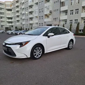 Toyota Corolla 2023