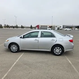 Toyota Corolla 2010