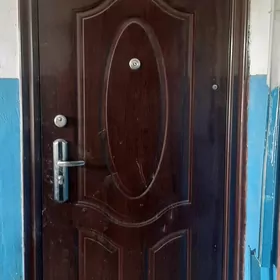 Дверь железная