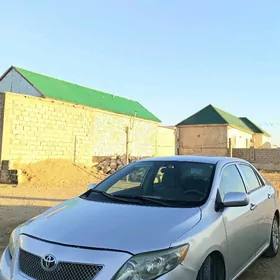 Toyota Corolla 2010