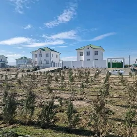 Arenda Kelete-Yarajy, Satlyk