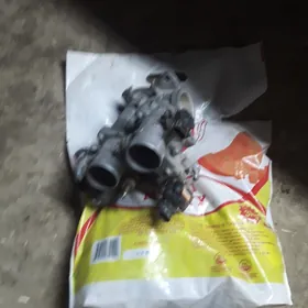 zastonka Toyota 3 wvti