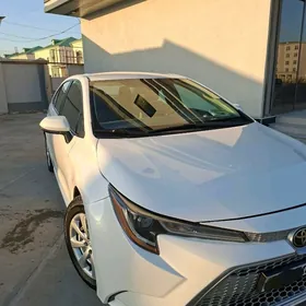 Toyota Corolla 2020