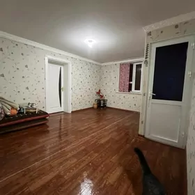 Satlyk jay eyesinden