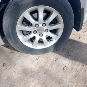 Tigir diagesi bn bile 16