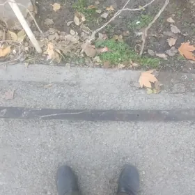 Resor Gazel patkarnnoý