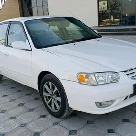 Toyota Corolla 2000