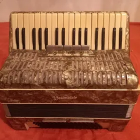 Akkordeon/ Аккордеон