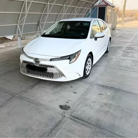 Toyota Corolla 2021