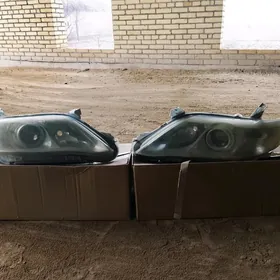 Far ökuz kelle 2010